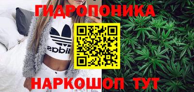 МДПВ Будённовск