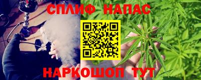 МДПВ Будённовск