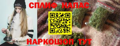 МДПВ Будённовск