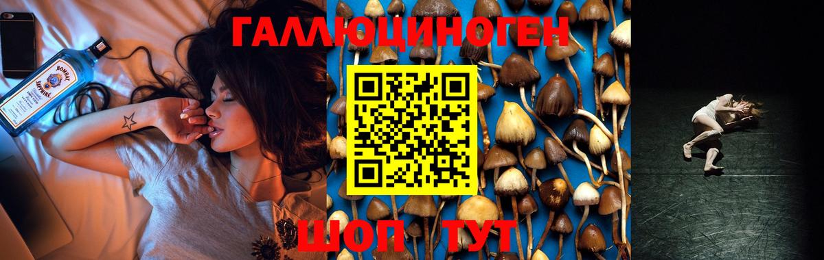 цена наркотик  Галлюциногенные грибы MAGIC MUSHROOMS  Вход с VPN  Саратов 